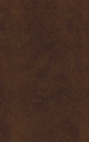Galatia terracotta Плитка настенная 25x40