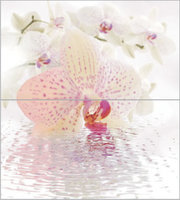 Dec Orchid Panno (панно из 2-х шт) КПН16Orchid 50х45