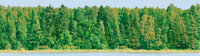 Dec Forest Panno (панно из 2-х шт) КПН16Forest 25х90