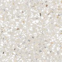 Terrazzo-X Керамогранит Светлый K949767LPR01VTE0 60х60