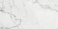 Marble Trend Керамогранит K-1000/MR/30x60 Carrara