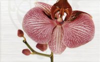 PiezaROSA коллекция "Фиори" декор Панно Фиори Орхидея (из 4-х плиток) 377087
